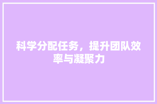 科学分配任务，提升团队效率与凝聚力