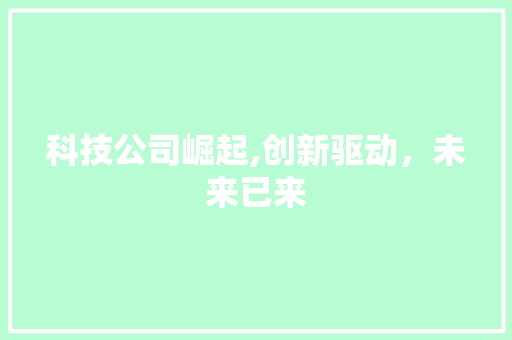 科技公司崛起,创新驱动，未来已来