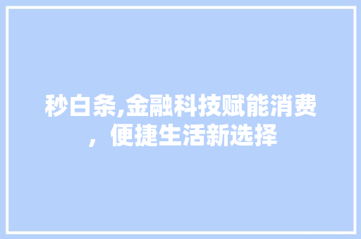秒白条,金融科技赋能消费，便捷生活新选择 电脑配置