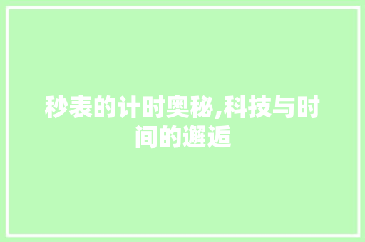 秒表的计时奥秘,科技与时间的邂逅