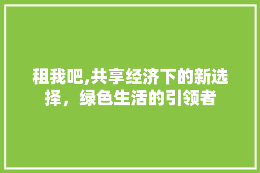 租我吧,共享经济下的新选择，绿色生活的引领者 电脑配置