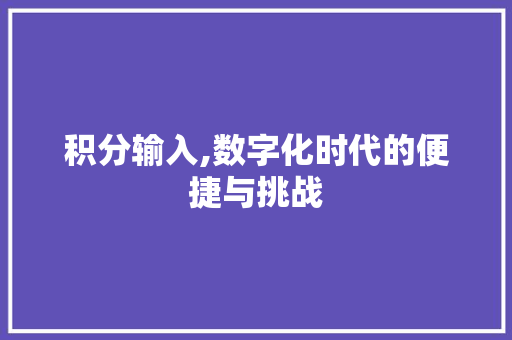 积分输入,数字化时代的便捷与挑战