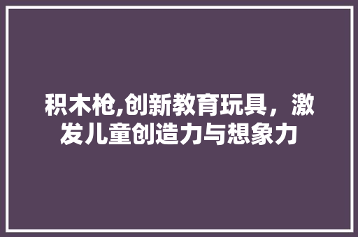 积木枪,创新教育玩具，激发儿童创造力与想象力