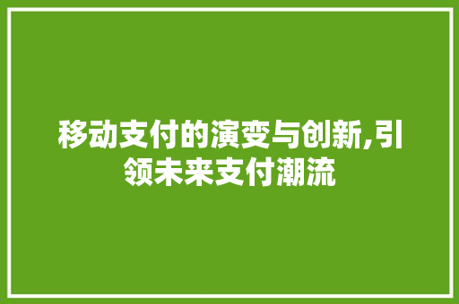 移动支付的演变与创新,引领未来支付潮流 移动支付的演变与创新,引领未来支付潮流