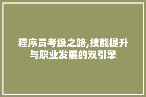 程序员考级之路,技能提升与职业发展的双引擎