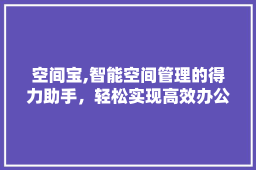 空间宝,智能空间管理的得力助手，轻松实现高效办公与生活