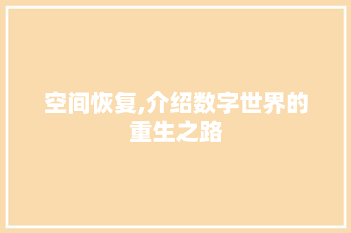 空间恢复,介绍数字世界的重生之路