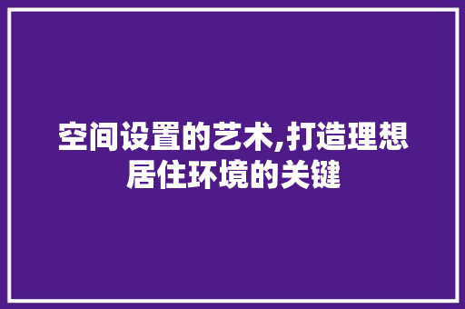 空间设置的艺术,打造理想居住环境的关键