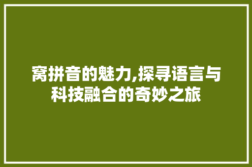 窝拼音的魅力,探寻语言与科技融合的奇妙之旅