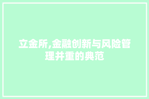 立金所,金融创新与风险管理并重的典范