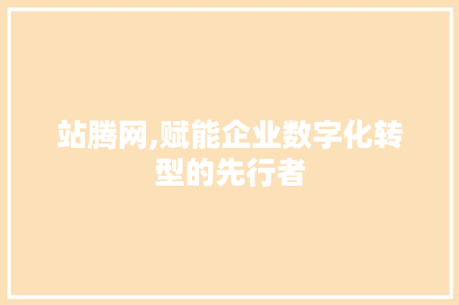 站腾网,赋能企业数字化转型的先行者