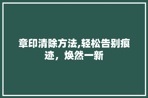 章印清除方法,轻松告别痕迹，焕然一新 电脑配置