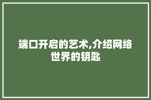 端口开启的艺术,介绍网络世界的钥匙