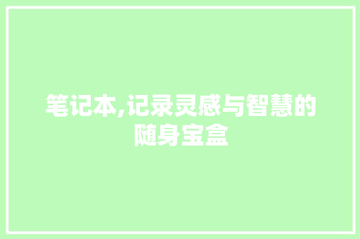 笔记本,记录灵感与智慧的随身宝盒