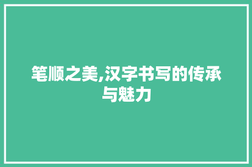 笔顺之美,汉字书写的传承与魅力