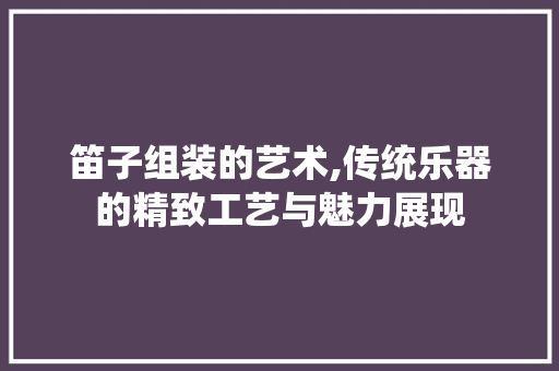 笛子组装的艺术,传统乐器的精致工艺与魅力展现