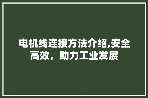 电机线连接方法介绍,安全高效，助力工业发展 网络技术