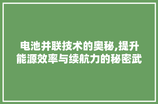 电池并联技术的奥秘,提升能源效率与续航力的秘密武器 电脑基础