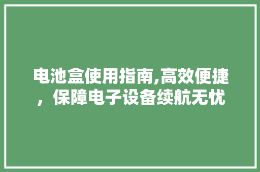 电池盒使用指南,高效便捷，保障电子设备续航无忧