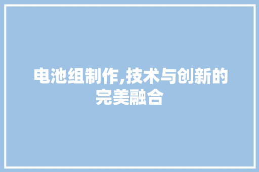 电池组制作,技术与创新的完美融合 操作系统