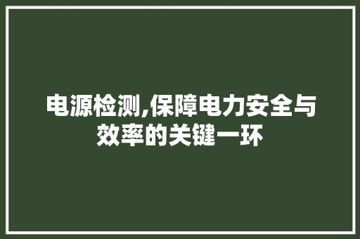 电源检测,保障电力安全与效率的关键一环