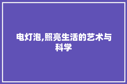 电灯泡,照亮生活的艺术与科学 编程语言
