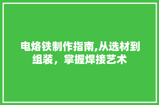 电烙铁制作指南,从选材到组装，掌握焊接艺术 电脑基础