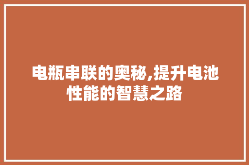 电瓶串联的奥秘,提升电池性能的智慧之路 网络技术