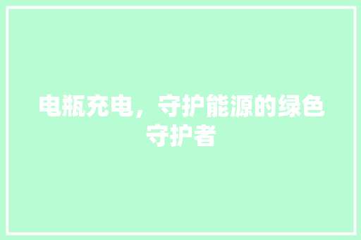 电瓶充电,守护能源的绿色守护者 操作系统 电瓶充电,守护能源的绿色守护者 操作系统