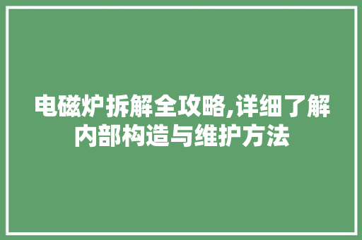 电磁炉拆解全攻略,详细了解内部构造与维护方法