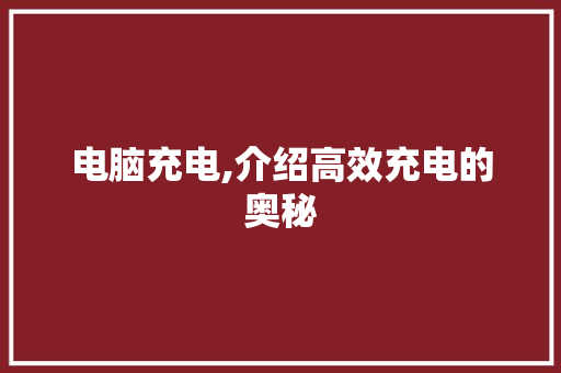 电脑充电,介绍高效充电的奥秘