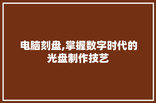 电脑刻盘,掌握数字时代的光盘制作技艺 网络技术