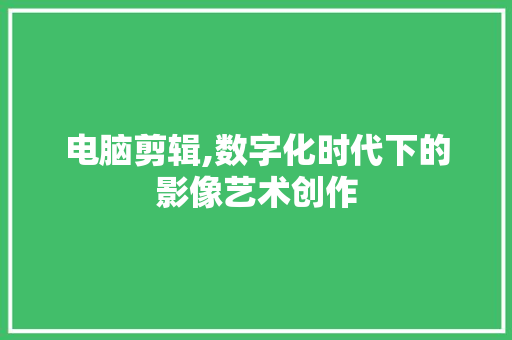电脑剪辑,数字化时代下的影像艺术创作 电脑基础 电脑剪辑,数字化时代下的影像艺术创作 电脑基础
