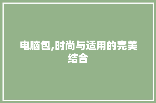 电脑包,时尚与适用的完美结合 电脑故障维修