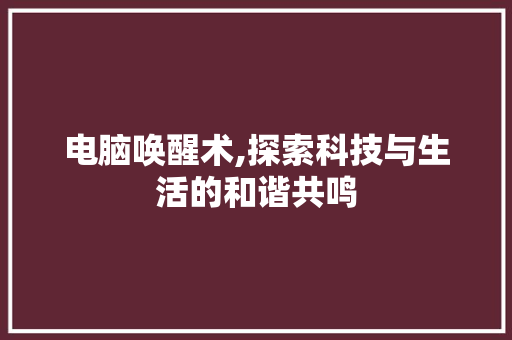 电脑唤醒术,探索科技与生活的和谐共鸣