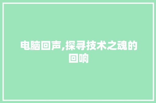 电脑回声,探寻技术之魂的回响 网络技术