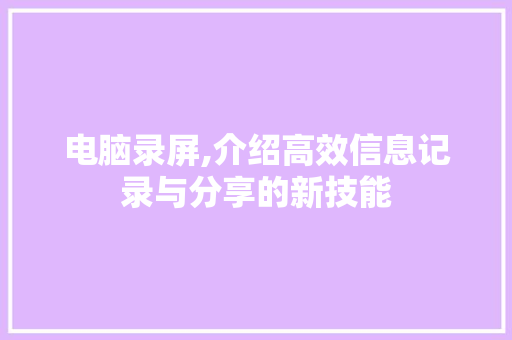 电脑录屏,介绍高效信息记录与分享的新技能