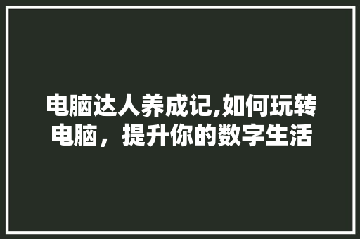 电脑达人养成记,如何玩转电脑,提升你的数字生活 电脑配置 电脑达人养成记,如何玩转电脑,提升你的数字生活 电脑配置