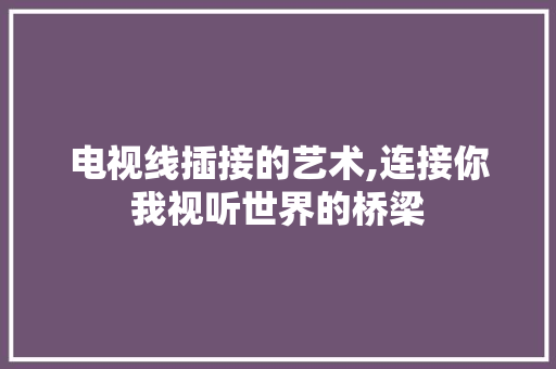 电视线插接的艺术,连接你我视听世界的桥梁
