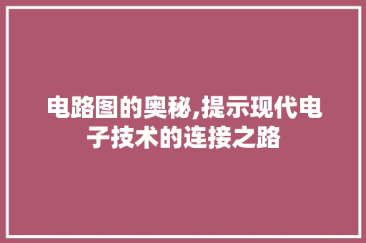 电路图的奥秘,提示现代电子技术的连接之路