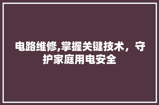 电路维修,掌握关键技术，守护家庭用电安全