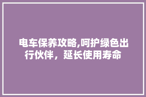 电车保养攻略,呵护绿色出行伙伴，延长使用寿命