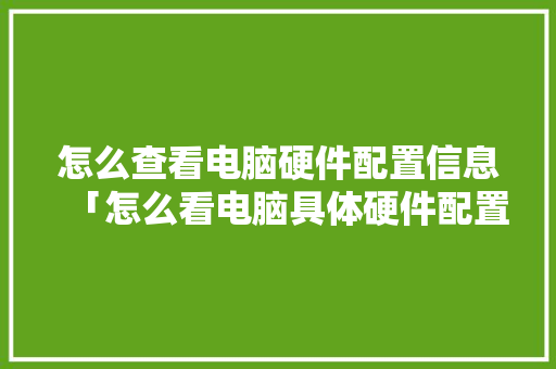 怎么查看电脑硬件配置信息「怎么看电脑具体硬件配置参数」 怎么查看电脑硬件配置信息「怎么看电脑具体硬件配置参数」 编程语言