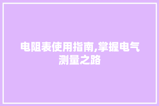 电阻表使用指南,掌握电气测量之路