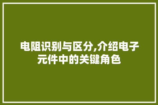电阻识别与区分,介绍电子元件中的关键角色