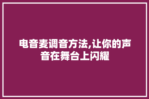 电音麦调音方法,让你的声音在舞台上闪耀