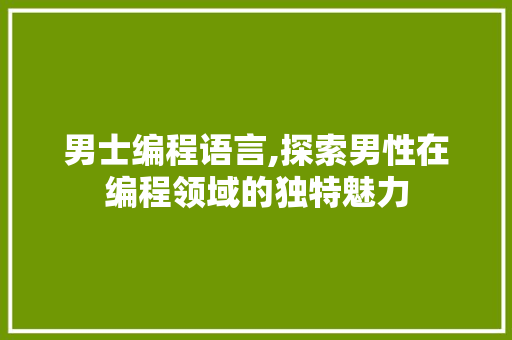 男士编程语言,探索男性在编程领域的独特魅力