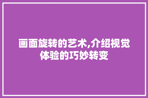 画面旋转的艺术,介绍视觉体验的巧妙转变