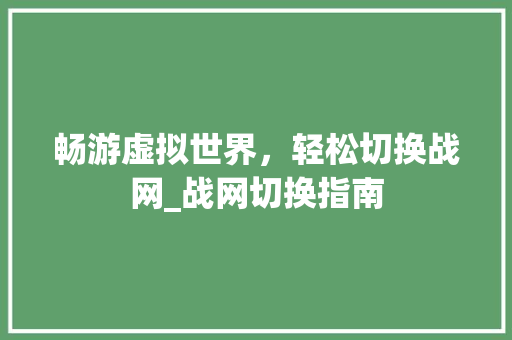 畅游虚拟世界，轻松切换战网_战网切换指南