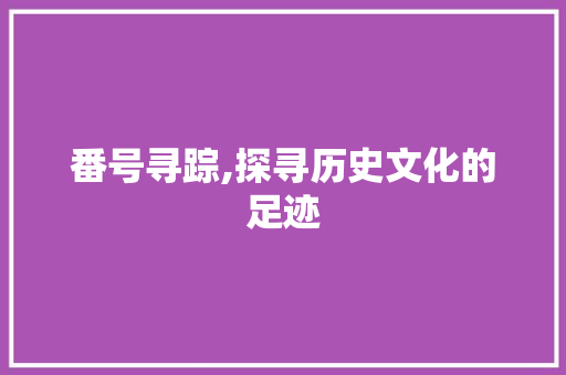 番号寻踪,探寻历史文化的足迹